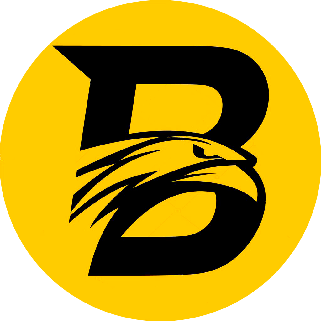 bitvef.com favicon